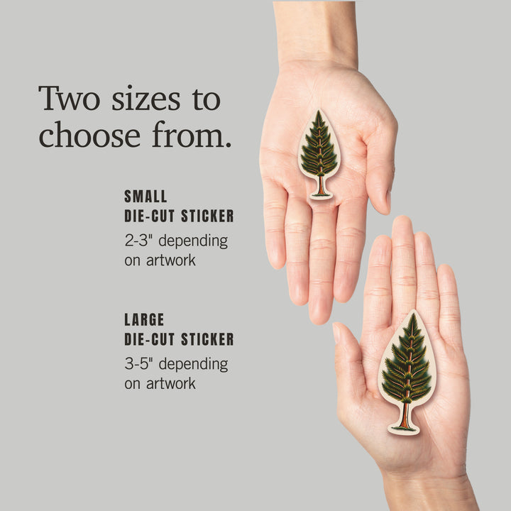 American Traditional, Evergreen, Vinyl Sticker