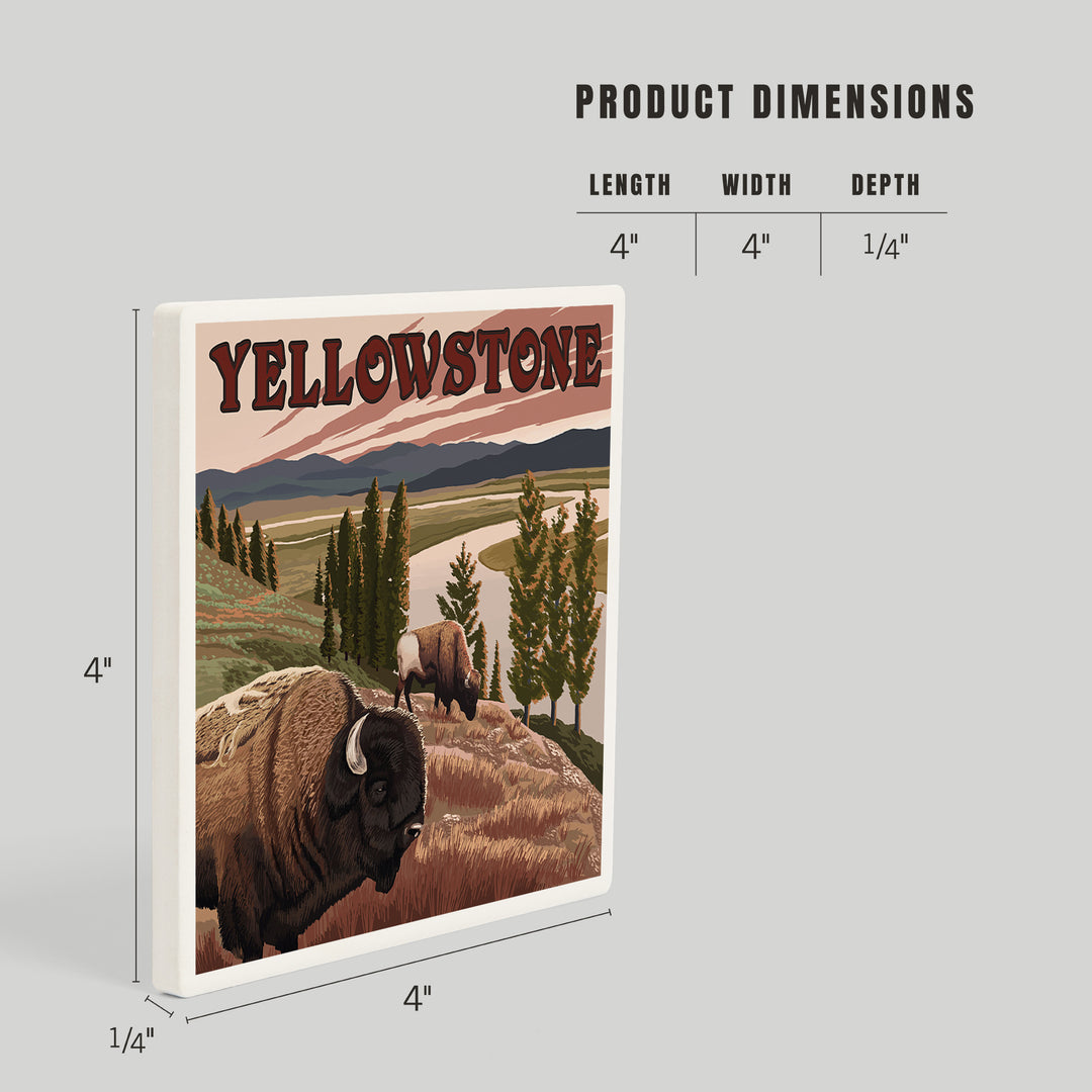 Yellowstone National Park, Wyoming, Bison Scene, Coasters