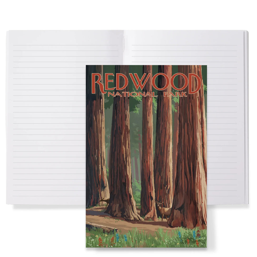 Lined 6x9 Journal, Redwood National Park, Forest Grove in Spring, Lay Flat, 193 Pages, FSC paper