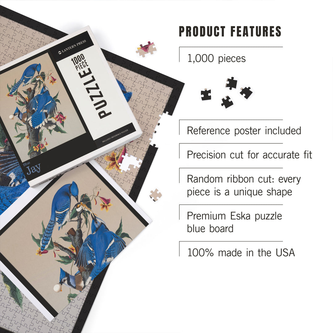 Audubon Birds of North America, Blue Jay, 1000 Piece Jigsaw Puzzle