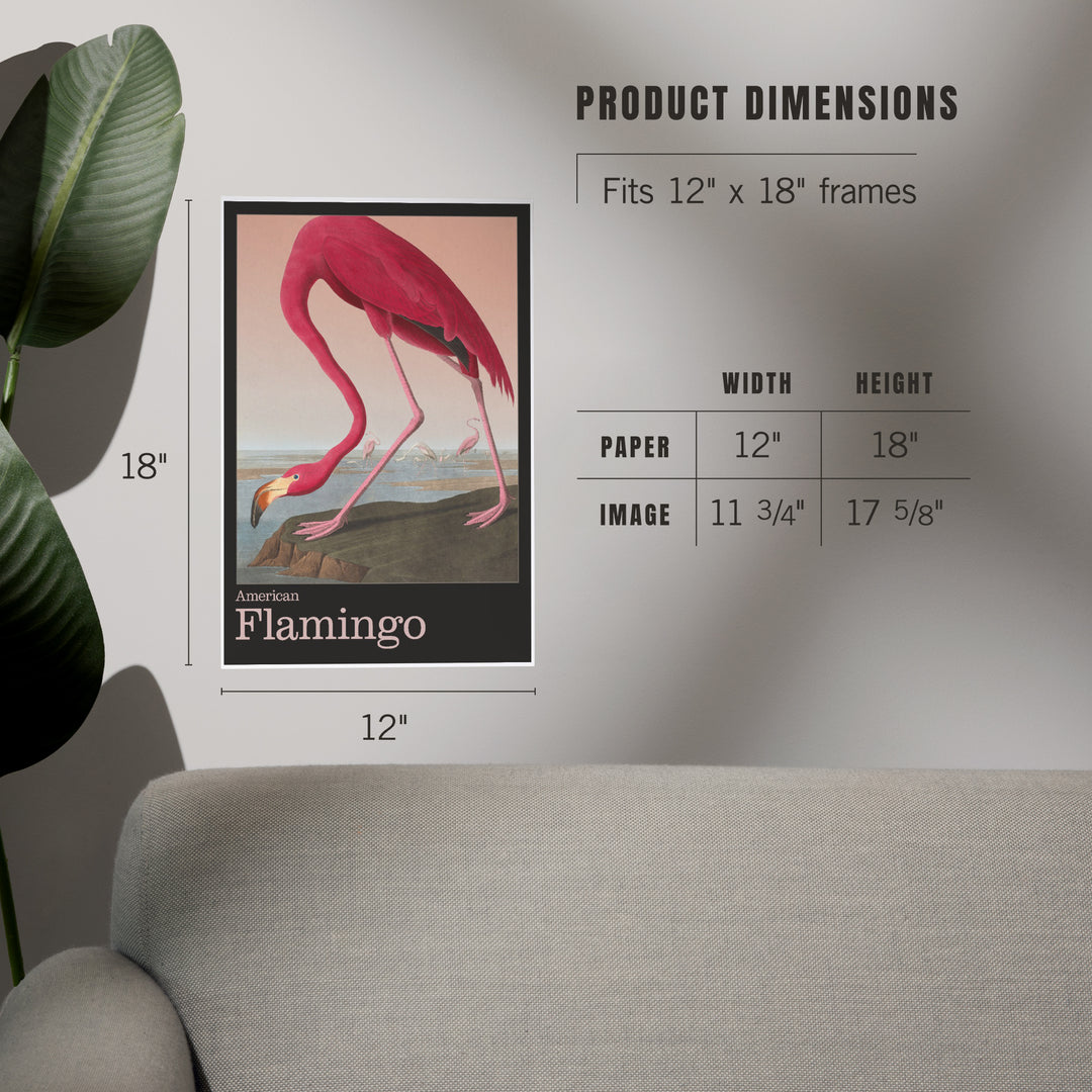Audubon Birds of North America, Flamingo, Art & Giclee Prints