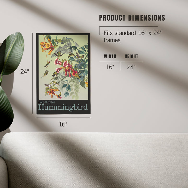 Audubon Birds, North America Hummingbird, Art & Giclee Prints