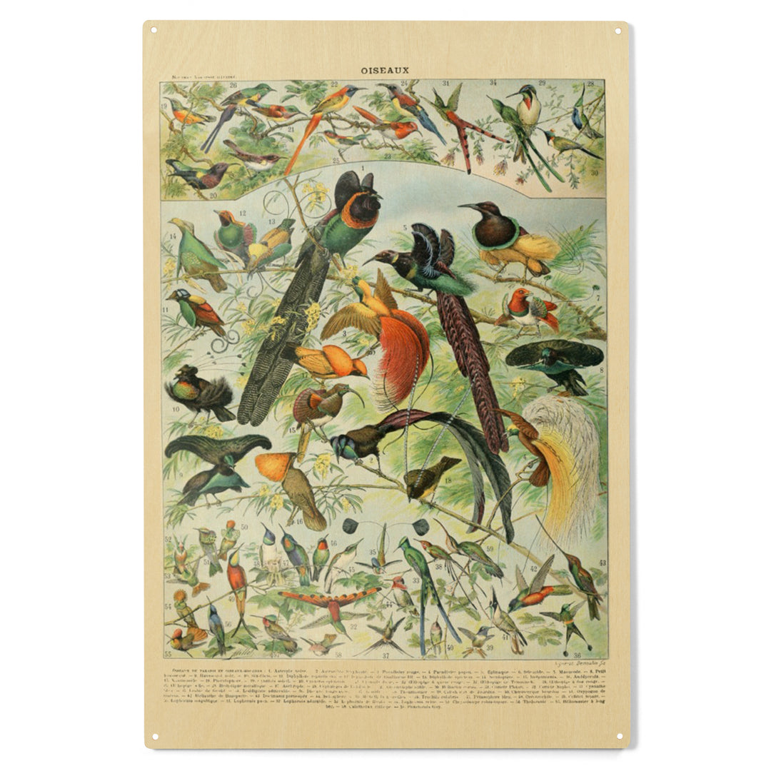 Birds, B, Vintage Bookplate, Adolphe Millot, Wood Sign and Postcards