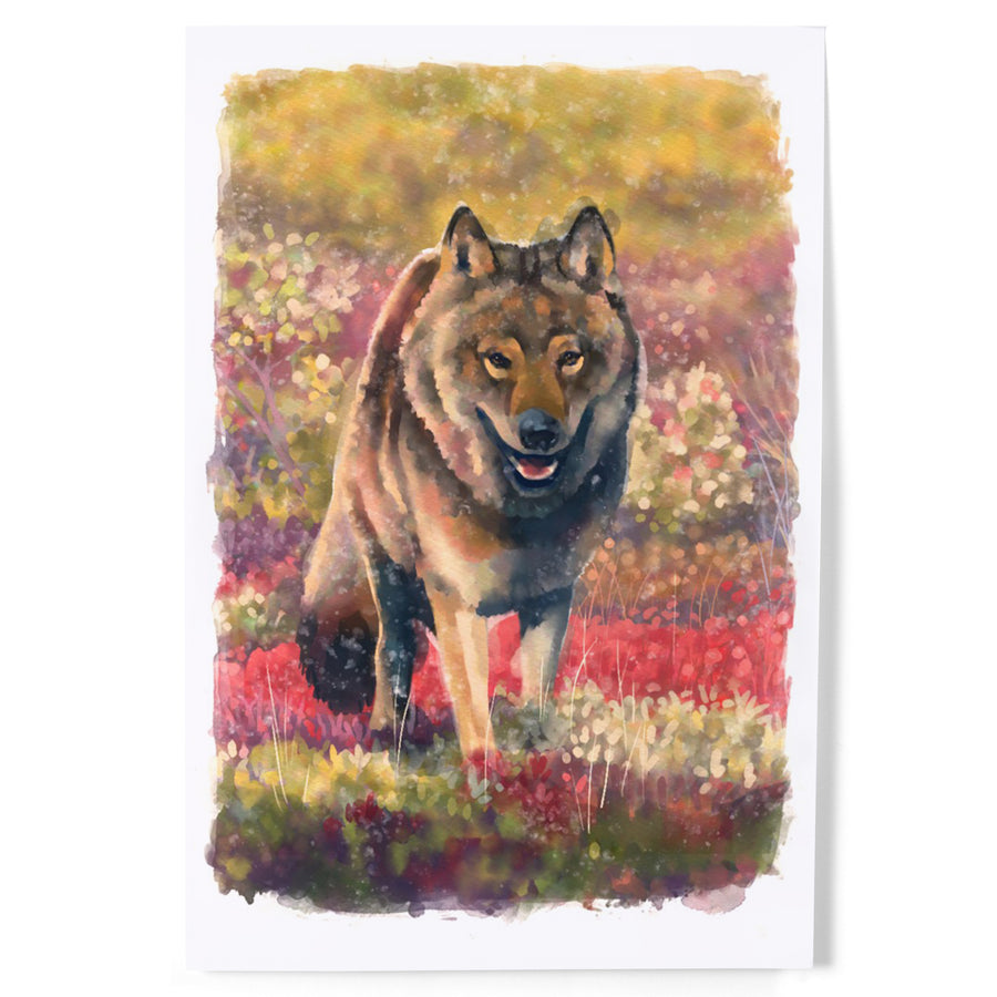 Watercolor Study, Gray Wolf art prints, metal signs