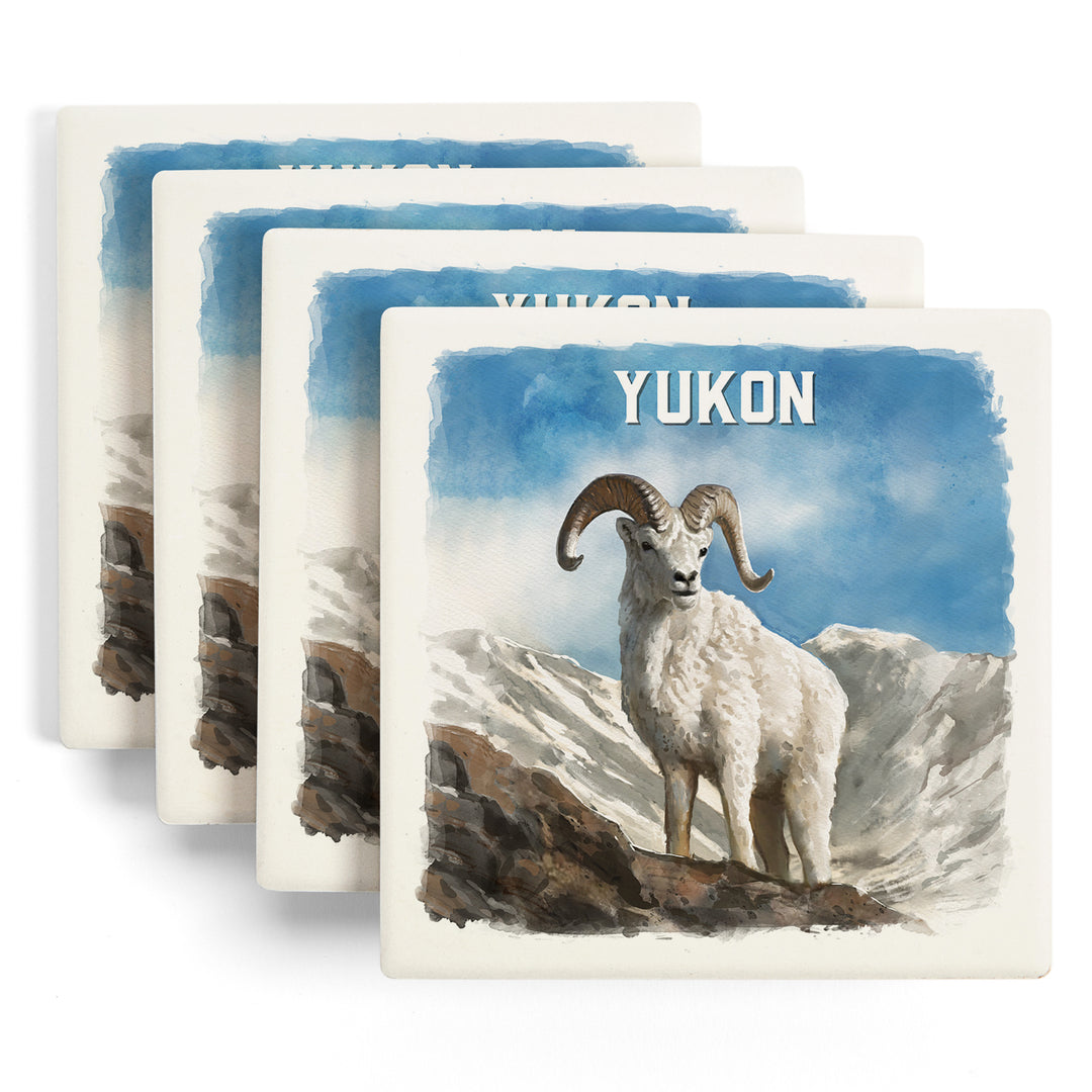 Yukon, Watercolor Study, Dall Sheep, Coaster Set