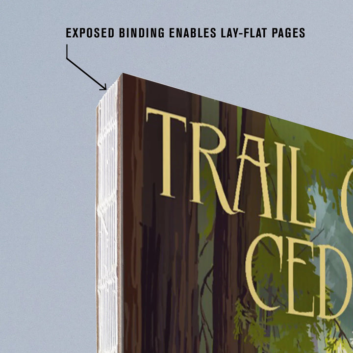 Lined 6x9 Journal, Glacier National Park, Montana, Trail of the Cedars, Lay Flat, 193 Pages, FSC paper
