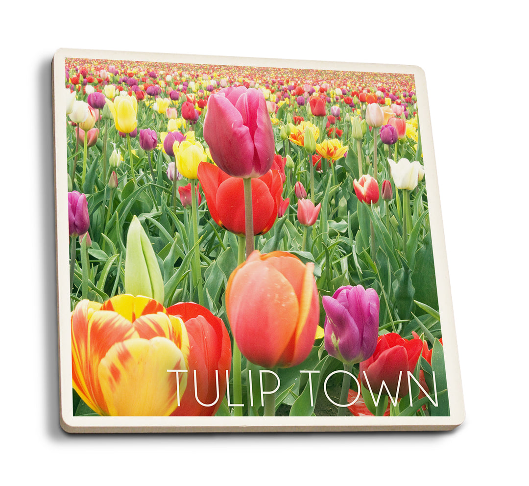 Tulip Town, Washington, Tulips, Coaster Set