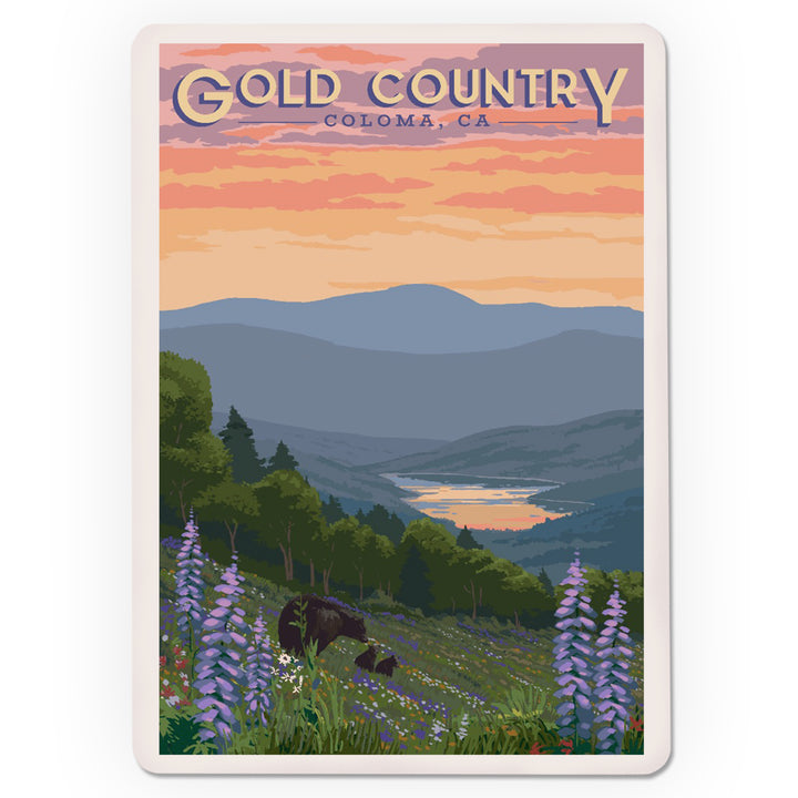 Playing Cards, Coloma, California, Gold Country, Bear And Spring Flowers, 52 Card Deck with Jokers in Box, Unique Art