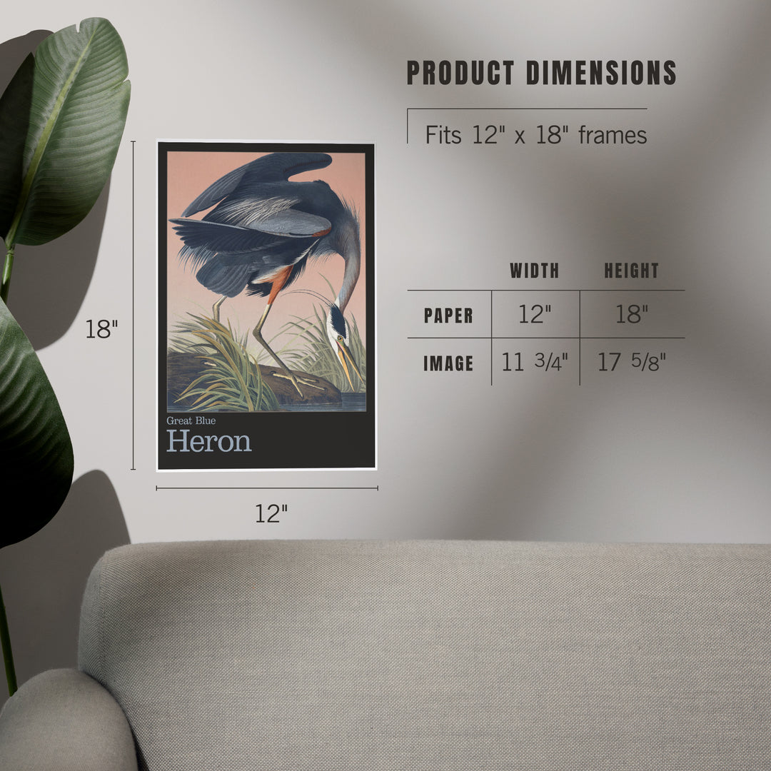 Audubon Birds of North America, Blue Heron, Art & Giclee Prints