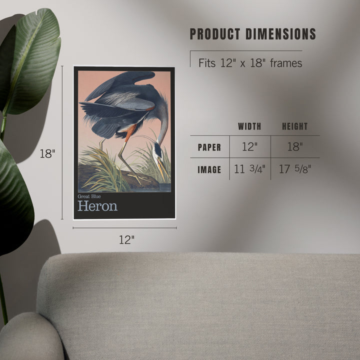 Audubon Birds of North America, Blue Heron, Art & Giclee Prints