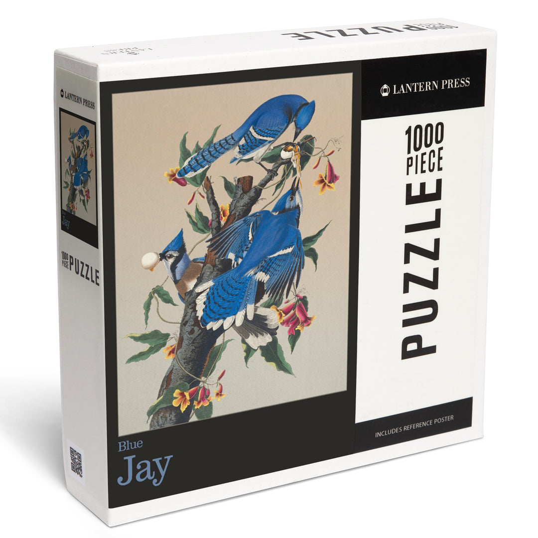 Audubon Birds of North America, Blue Jay, 1000 Piece Jigsaw Puzzle