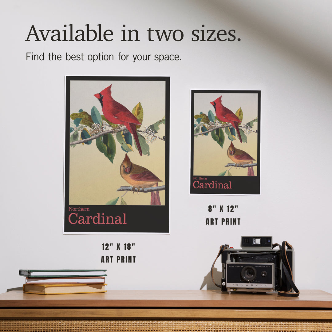 Audubon Birds of North America, Cardinal, Art & Giclee Prints