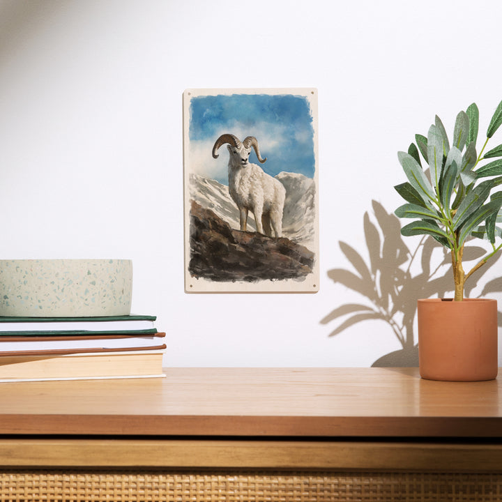 Watercolor Study, Dall Sheep, Wood Signs and Postcards