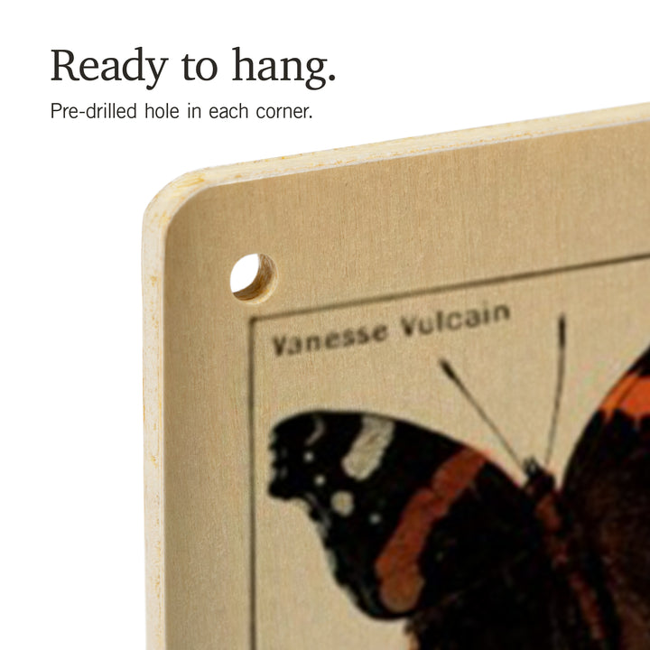 Butterflies, C, Vintage Bookplate, Adolphe Millot, Wood Sign and Postcards