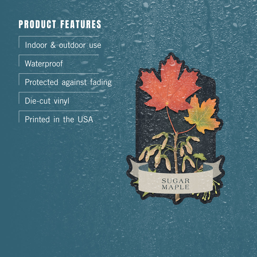 Vintage Flora Noir, Sugar Maple, Vinyl Sticker