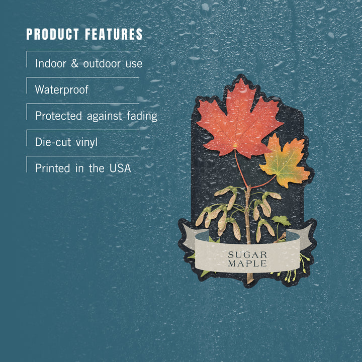 Vintage Flora Noir, Sugar Maple, Vinyl Sticker