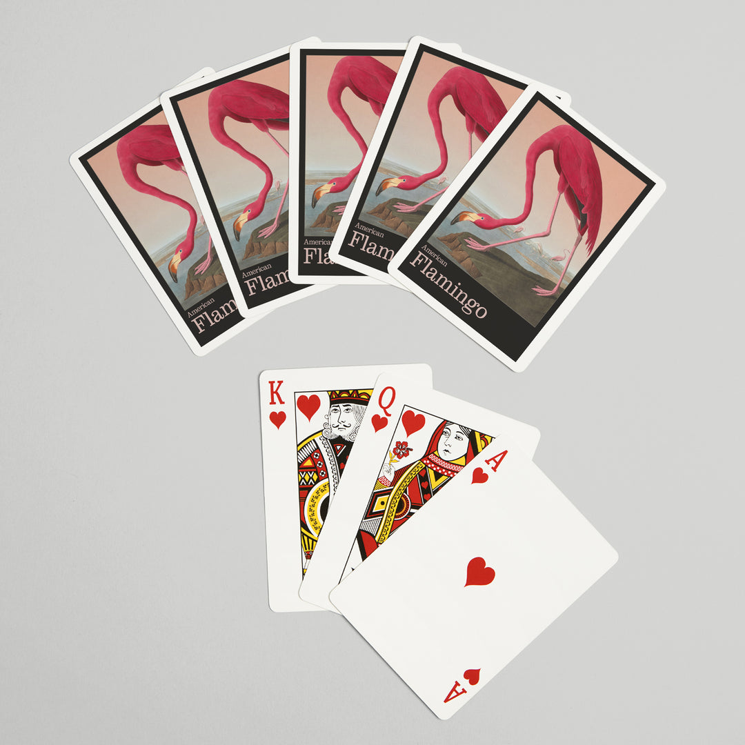 Playing Cards, Audubon Birds of North America, Flamingo, 52 Card Deck with Jokers in Box, Unique Art