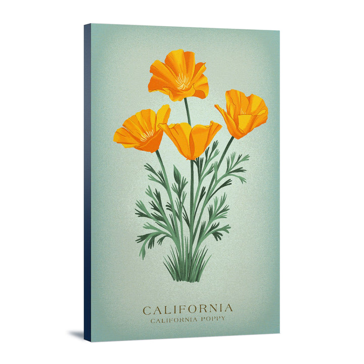 California, Vintage Flora, State Series, California Poppy, Stretched Canvas