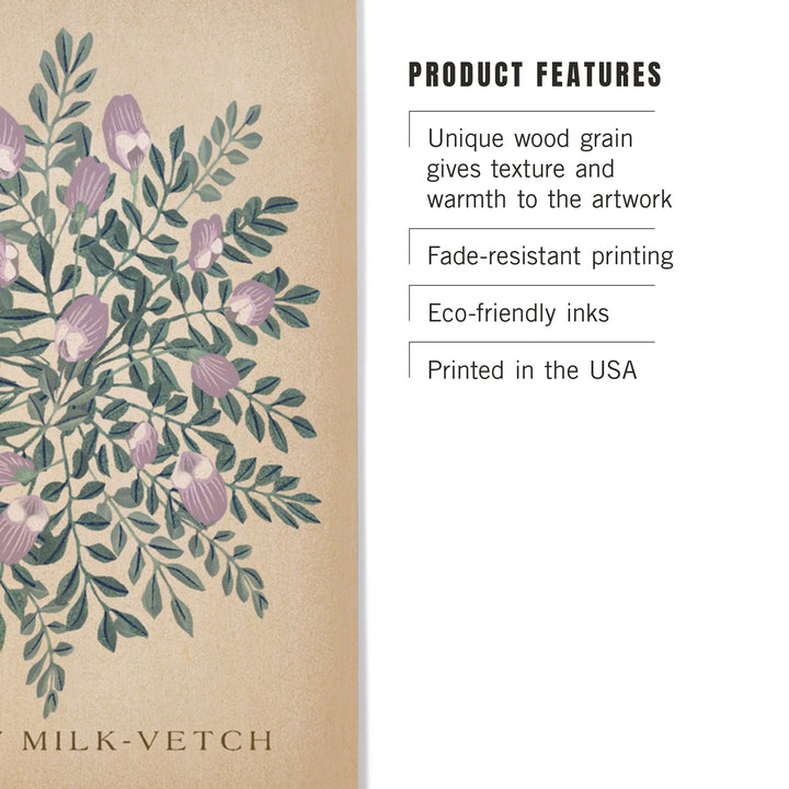 Sentry Milk-Vetch, Vintage Flora, Wood Sign and Postcards