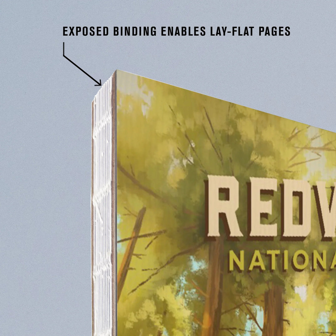 Lined 6x9 Journal, Redwood National and State Parks, California, Oil Painting, Lay Flat, 193 Pages, FSC paper