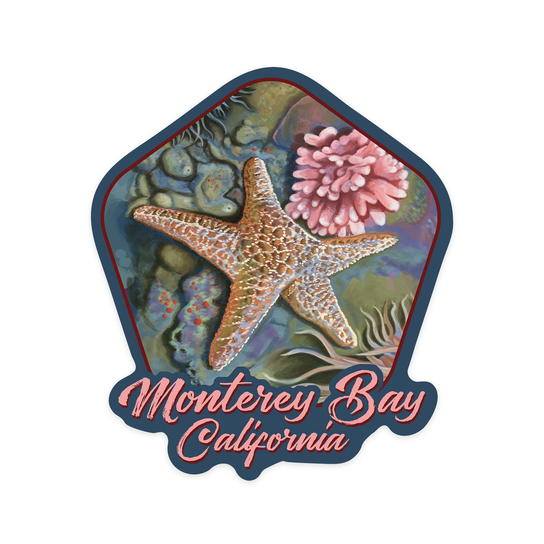 Monterey Bay, California, Tidepool, Contour, Vinyl Sticker