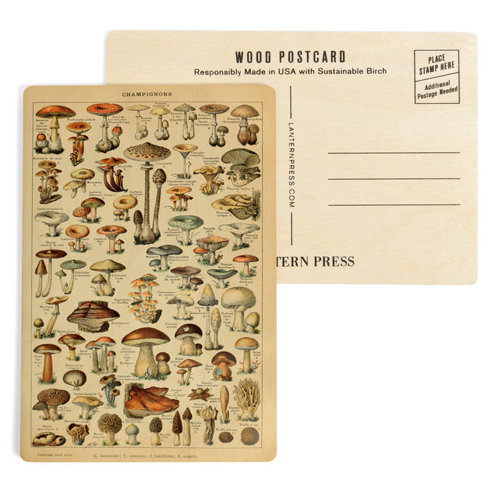 Mushrooms, C, Vintage Bookplate, Adolphe Millot, Wood Sign and Postcards