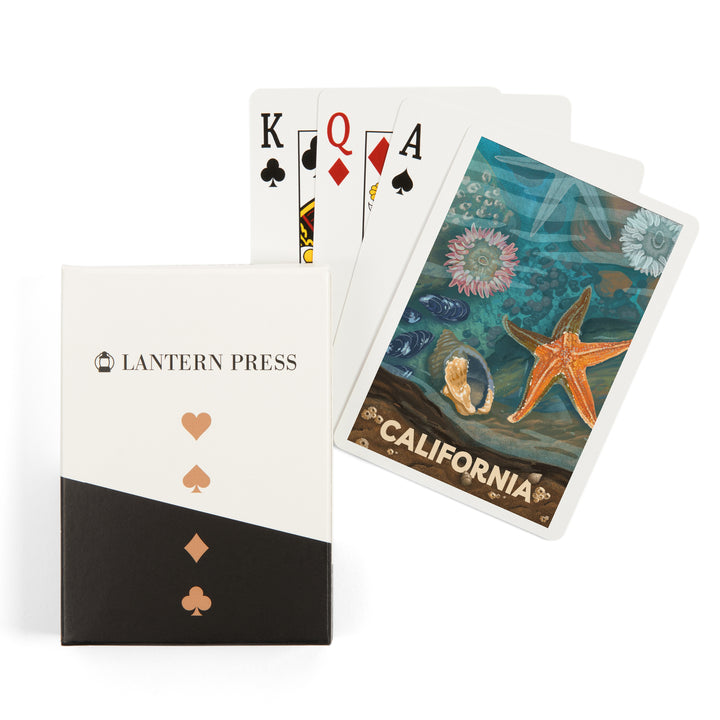 Playing Cards, California, Tiny World Huge Wonders, Coastal Series, Starfish and Shells, 52 Card Deck with Jokers in Box, Unique Art