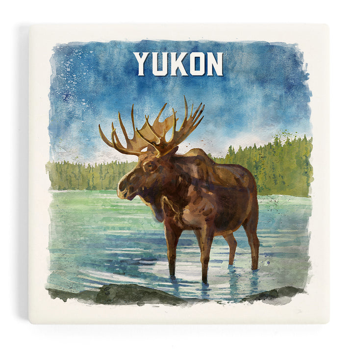 Yukon, Watercolor Study, Moose, Coasters