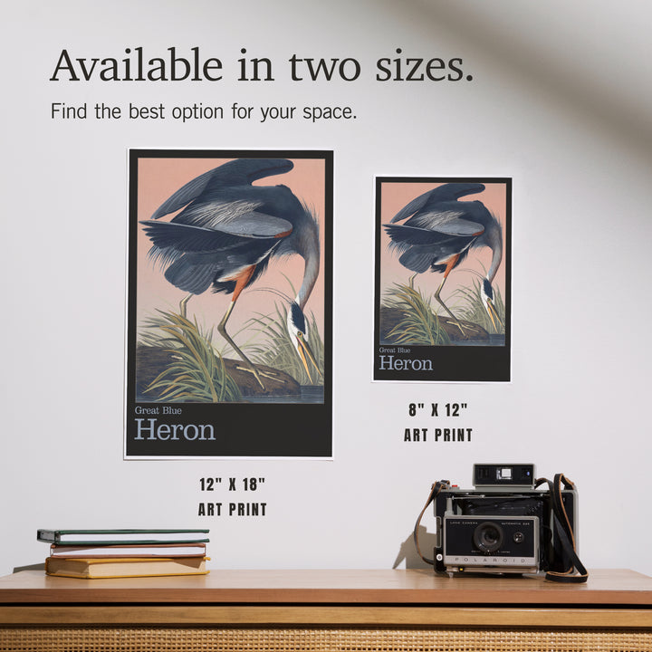 Audubon Birds of North America, Blue Heron, Art & Giclee Prints