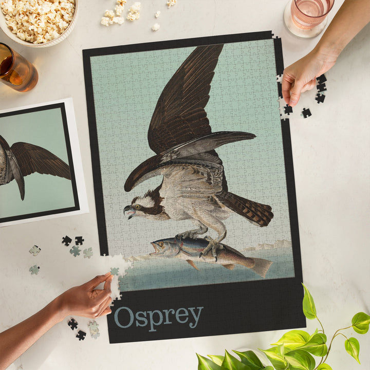 Audubon Birds of North America, Osprey, 1000 Piece Jigsaw Puzzle
