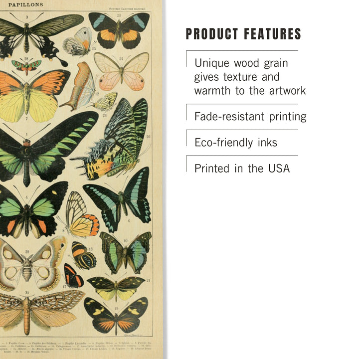 Butterflies, B, Vintage Bookplate, Adolphe Millot, Wood Sign and Postcards