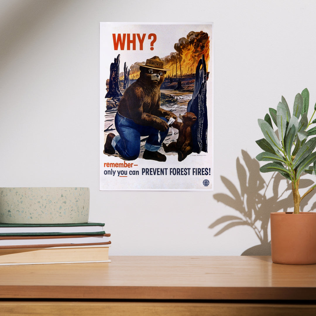 Smokey Bear, Why, Officially Licensed Vintage Poster, Art & Giclee Prints