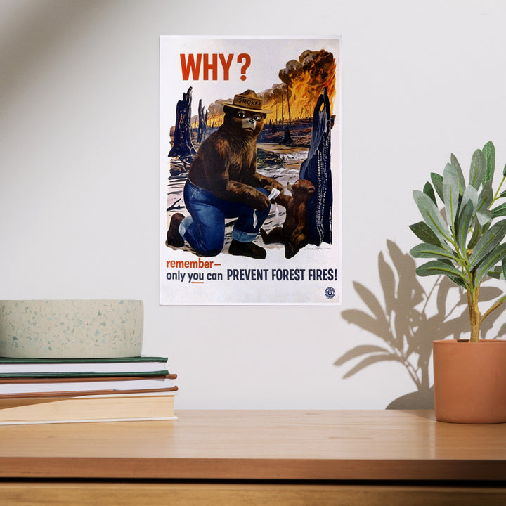 Smokey Bear, Why, Officially Licensed Vintage Poster, Art & Giclee Prints
