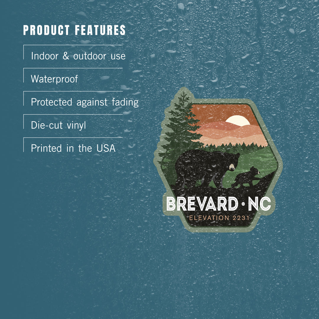 Brevard, North Carolina, Vector Bear Family, Contour, Vinyl Sticker