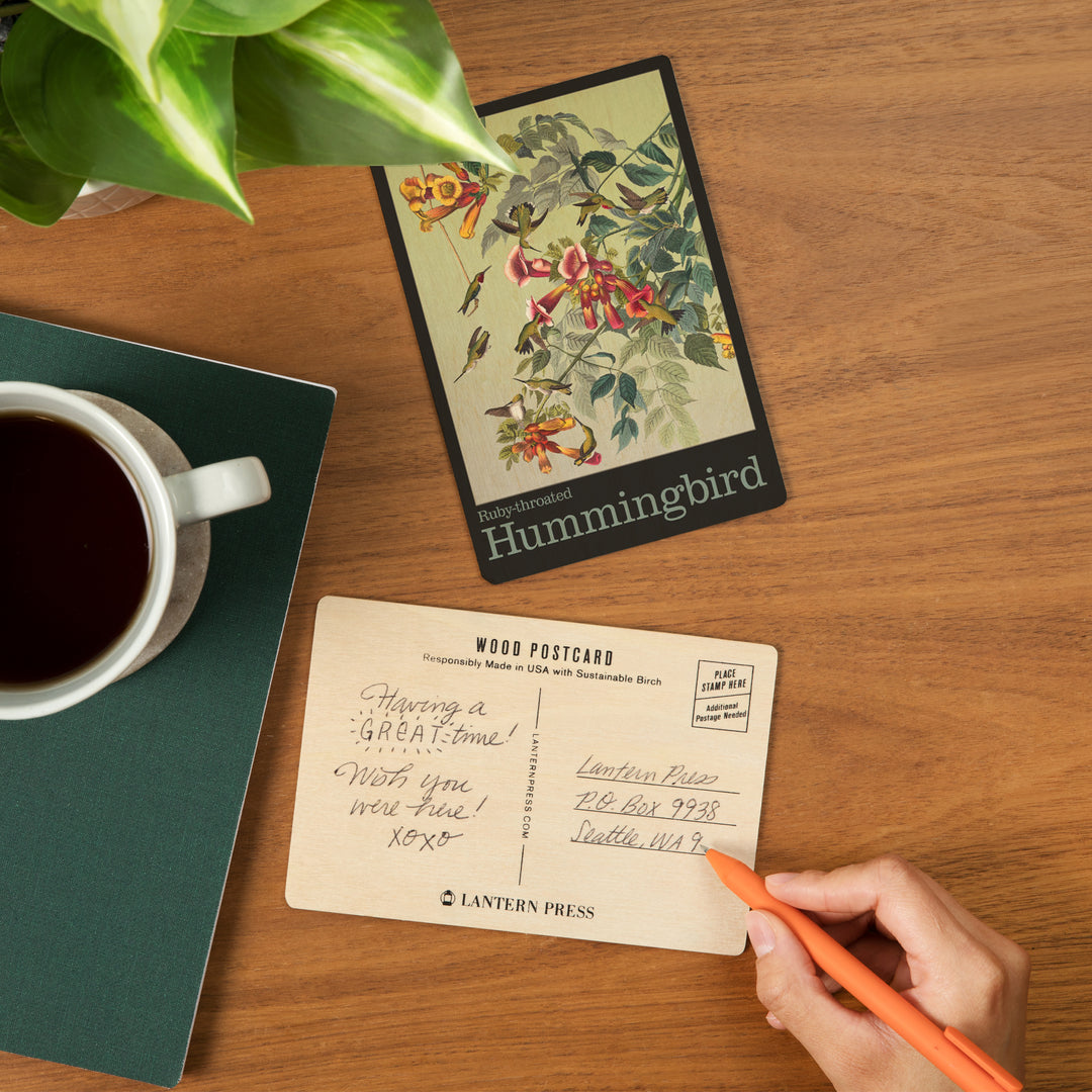 Audubon Birds, North America Hummingbird, Wood Sign and Postcards