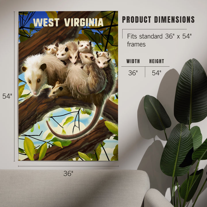 West Virginia, Possum with Babies, Art & Giclee Prints