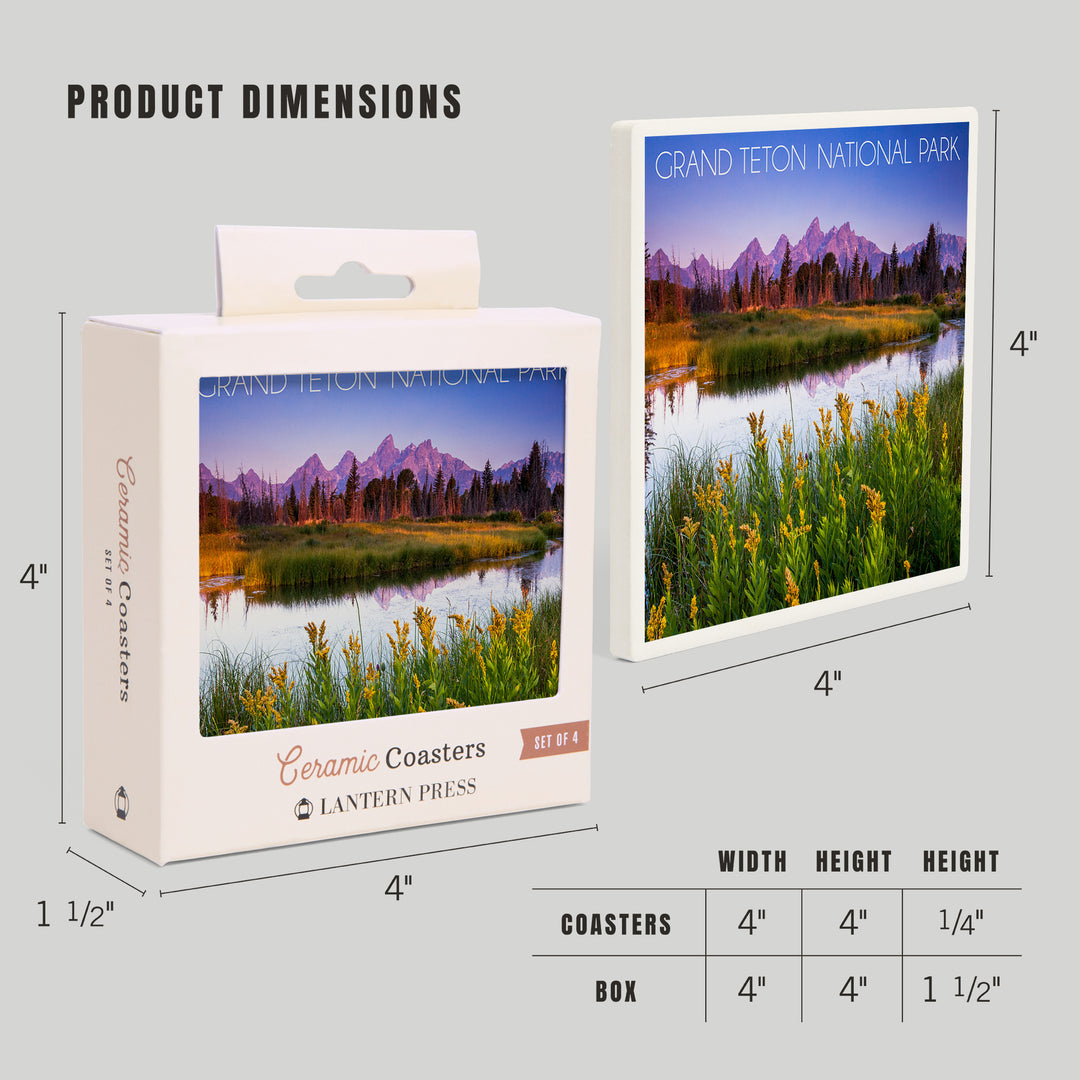 Grand Teton National Park, Wyoming, Flower Foreground, Coasters