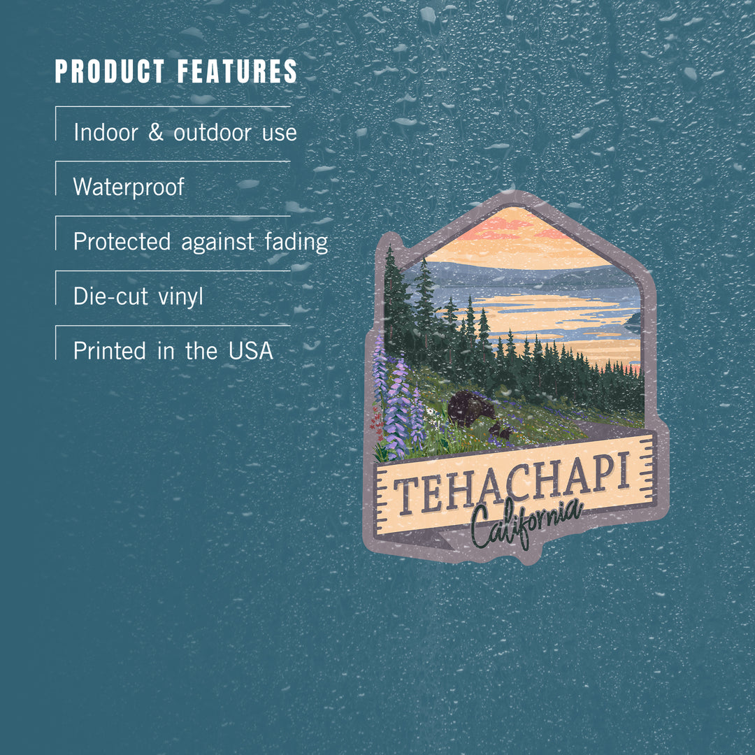Tehachapi, California, Bears and Spring Flowers, Contour, Vinyl Sticker