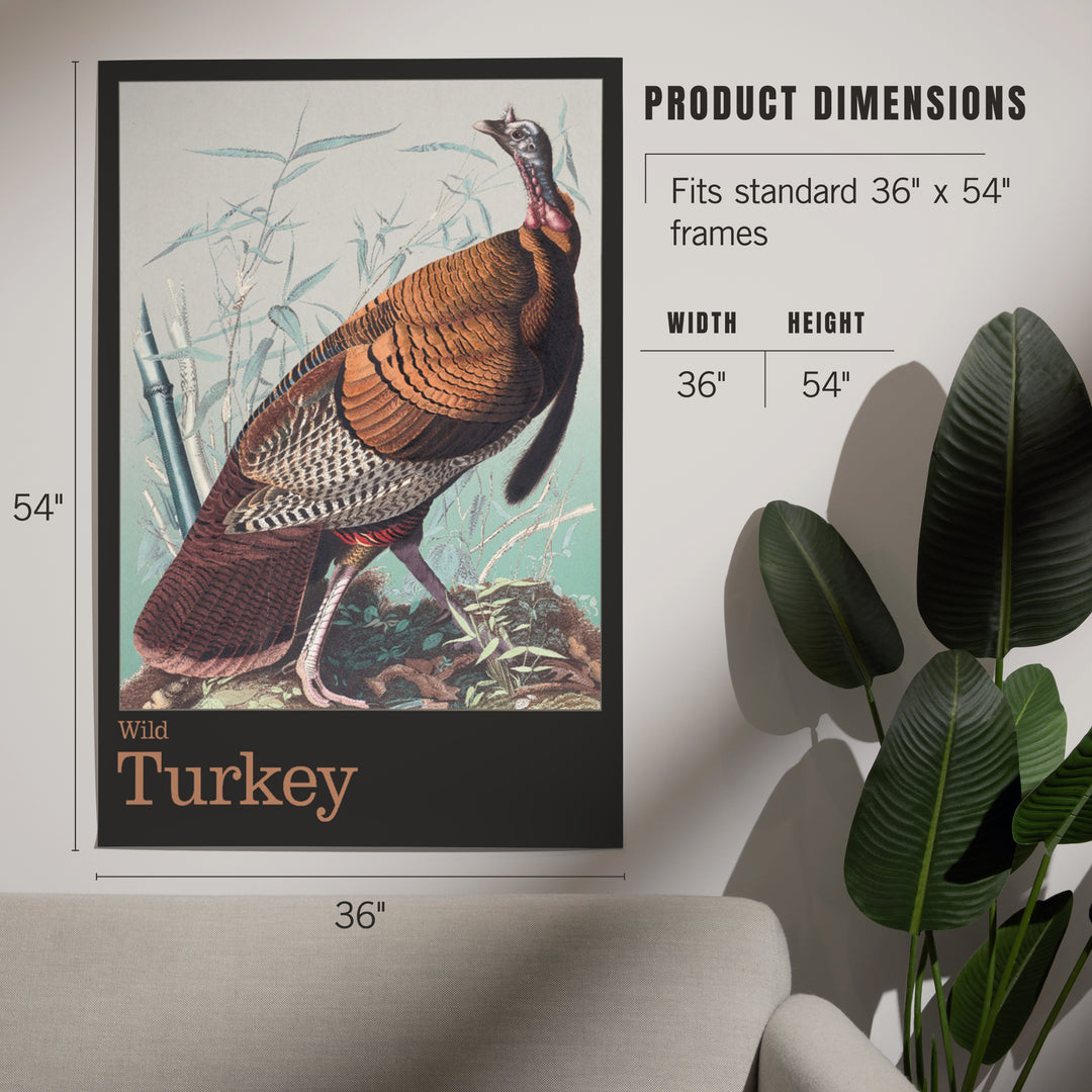 Audubon Birds of North America Wild Turkey, Art & Giclee Prints