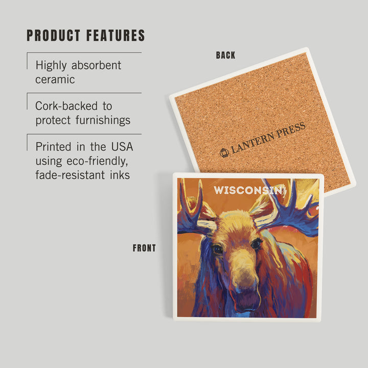 Wisconsin, Vivid, Moose, Coasters