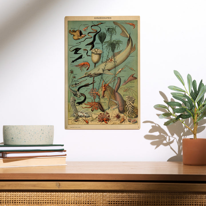 Marine Life, D, Vintage Bookplate, Adolphe Millot, Wood Sign and Postcards