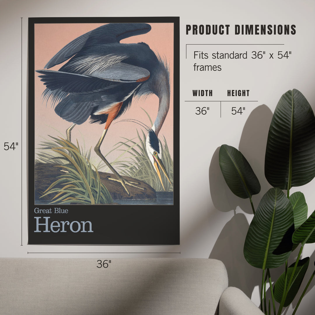 Audubon Birds of North America, Blue Heron, Art & Giclee Prints