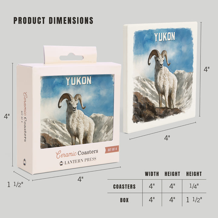 Yukon, Watercolor Study, Dall Sheep, Coaster Set