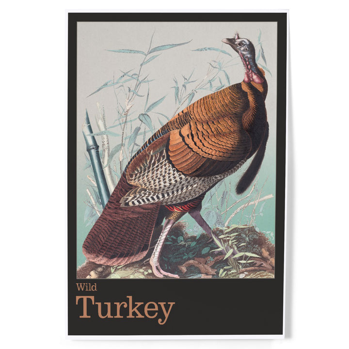 Audubon Birds of North America Wild Turkey, Art & Giclee Prints