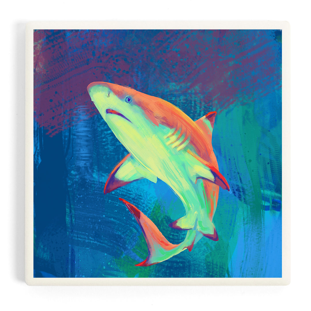 Vivid, Blacktip Shark, Coasters