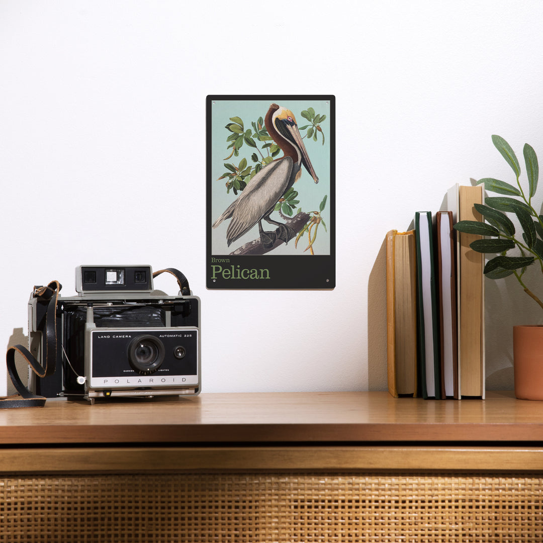 Audubon Birds, North America Brown Pelican, 12x18 Metal Sign