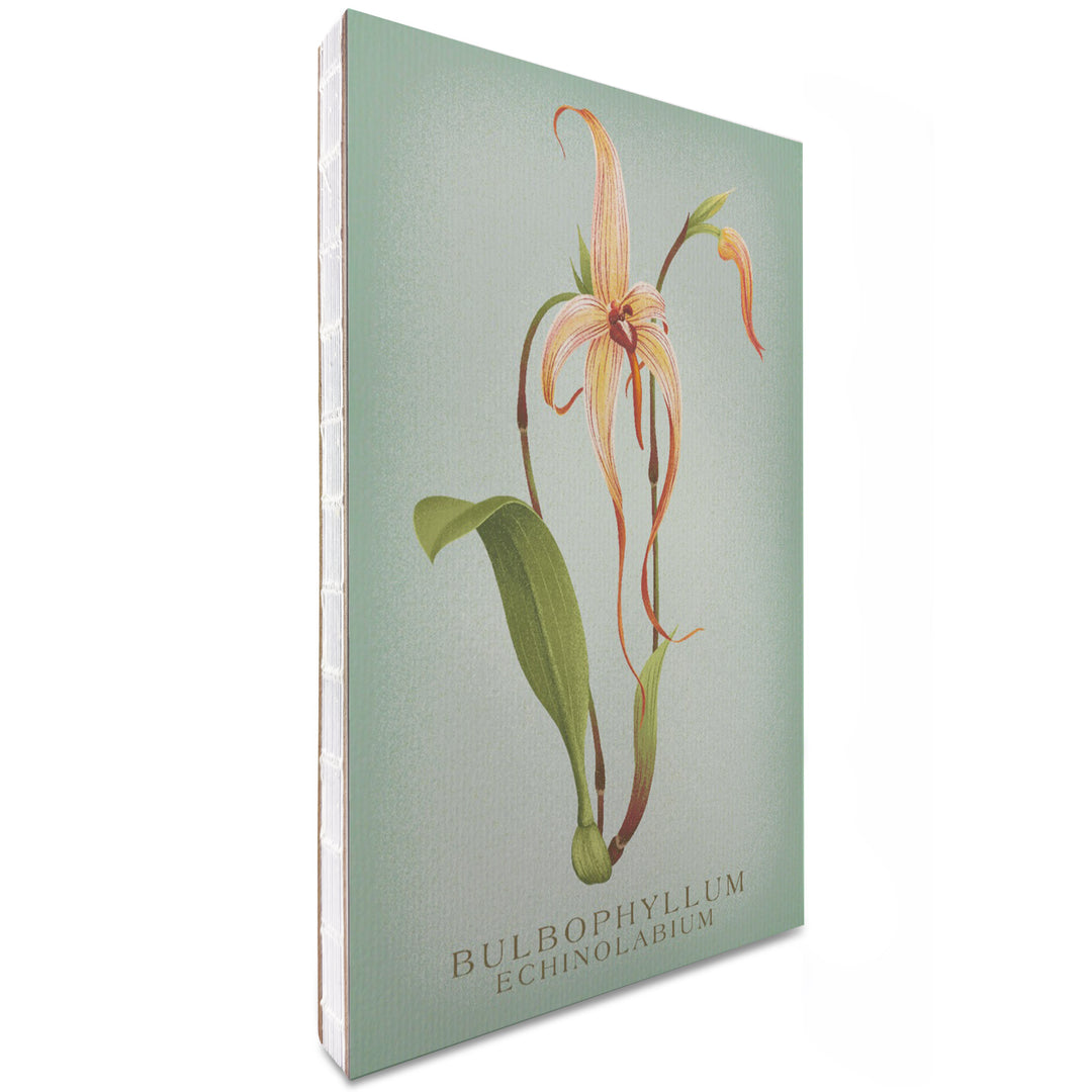 Lined 6x9 Journal, Bulbophyllum, Orchid, Vintage Flora, Lay Flat, 193 Pages, FSC paper