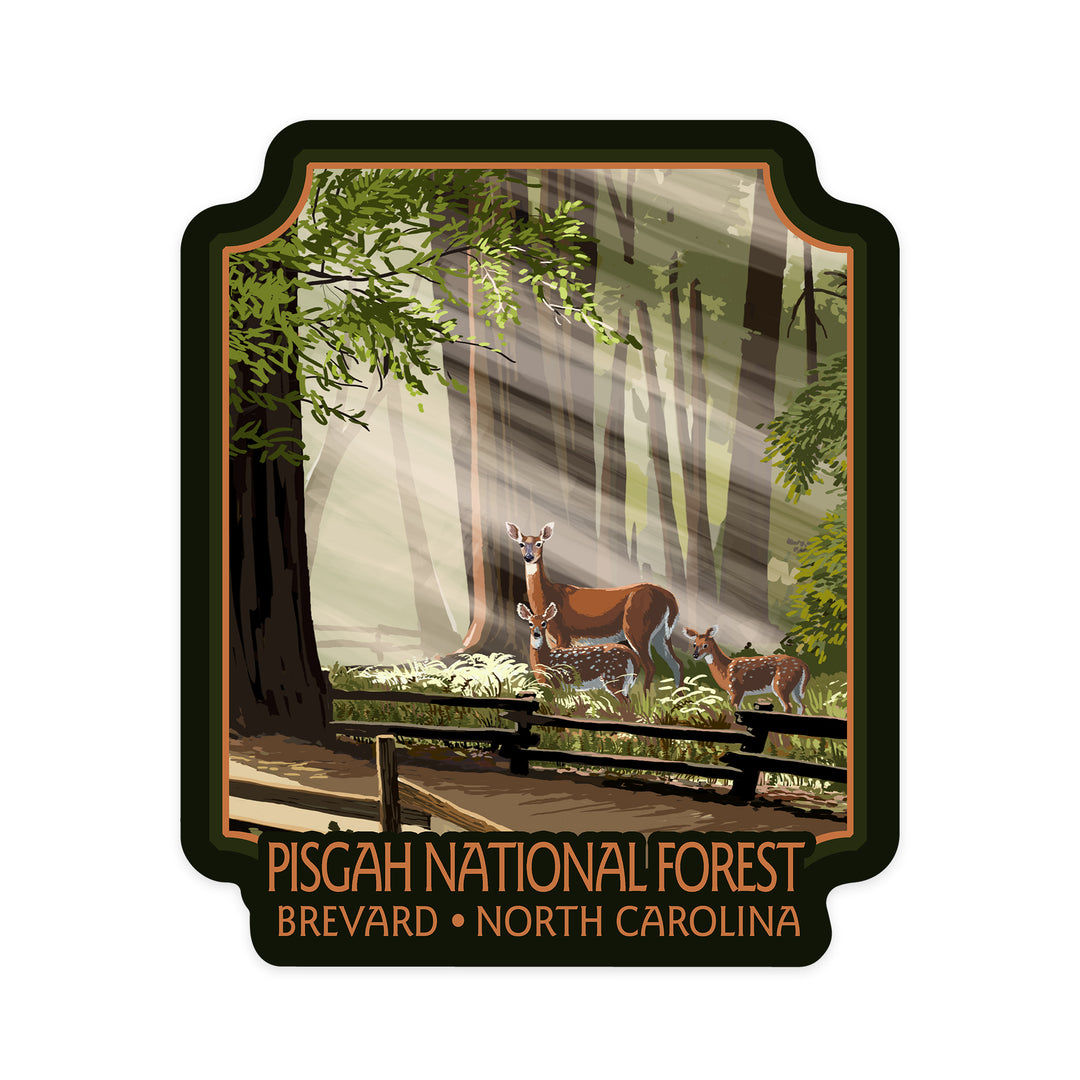 Brevard, North Carolina, Pisgah National Forest, Deer and Fawn, Contour, Vinyl Sticker