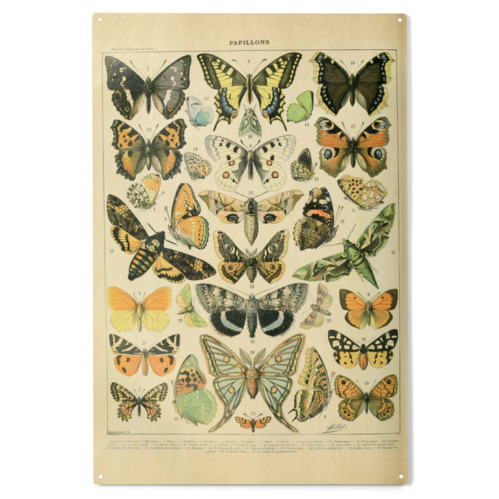 Butterflies, A, Vintage Bookplate, Adolphe Millot, Wood Sign and Postcards
