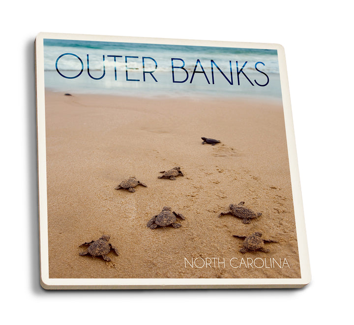 Outer Banks, North Carolina, Sea Turtles Hatching, Coaster Set